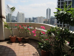 The Claymore (D9), Condominium #215297501